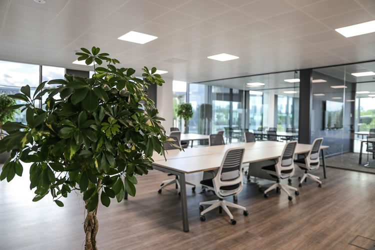 extrinsica-global-cs Modern, functional open plan office space fit-out